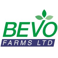 Bevo farms