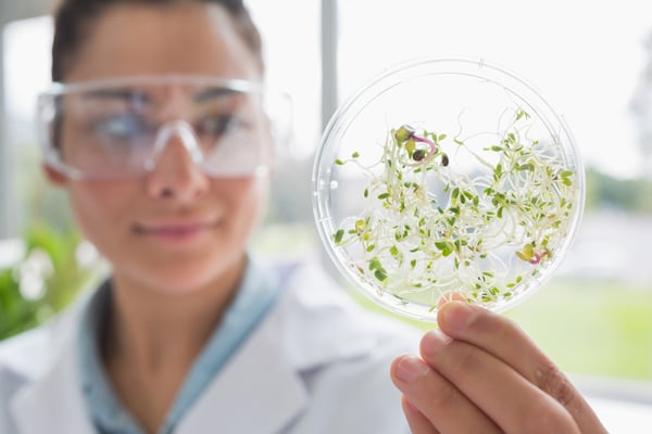 Chemist holding a pane with tests of plants in laboratory