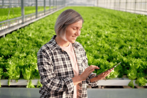 Mprise Agriware Software For Horticulture 365 (10)