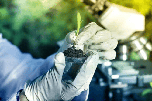 Mprise Agriware Software For Horticulture 365 (13)