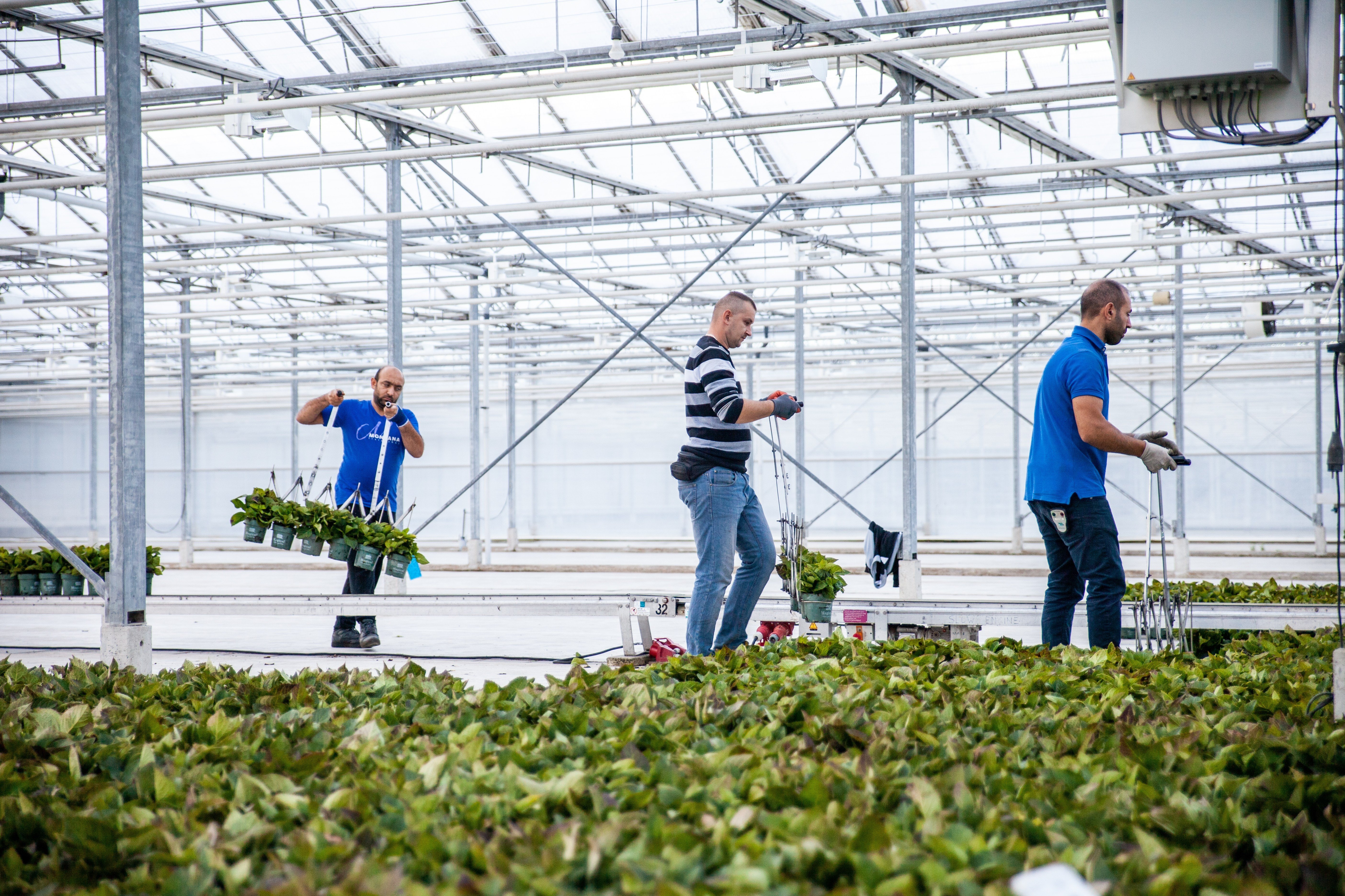 Welchen Wert hat eine branchenspezifische Software für Gartenbau-Unternehmen?