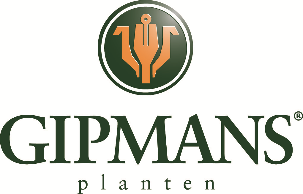 Gipmans__NL