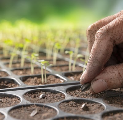 crop seeds software agriware