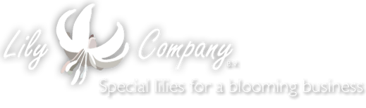 logo (3)