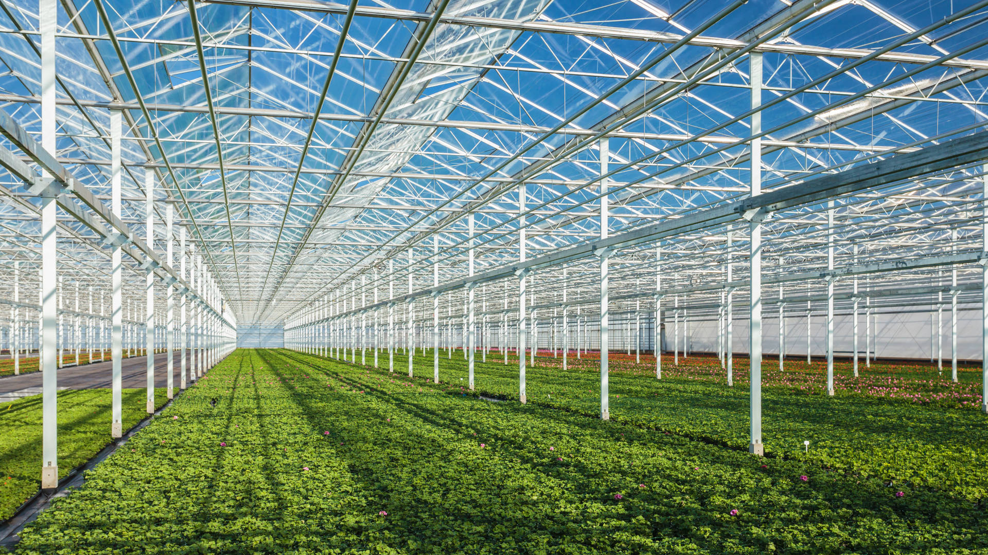 mprise agriware greenhouse