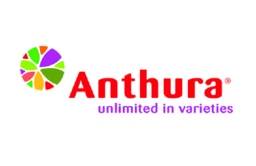Anthura