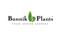 Bunnik plants