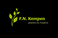 KN kempen