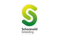 Schoneveld Multiplication Software