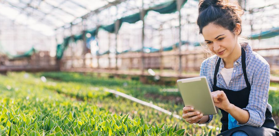 digital innovation with the help of various horticultural apps