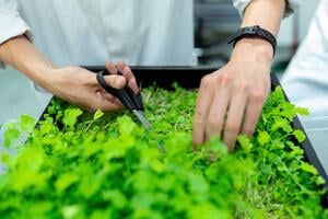 Agriware Training - Young Plants elearning