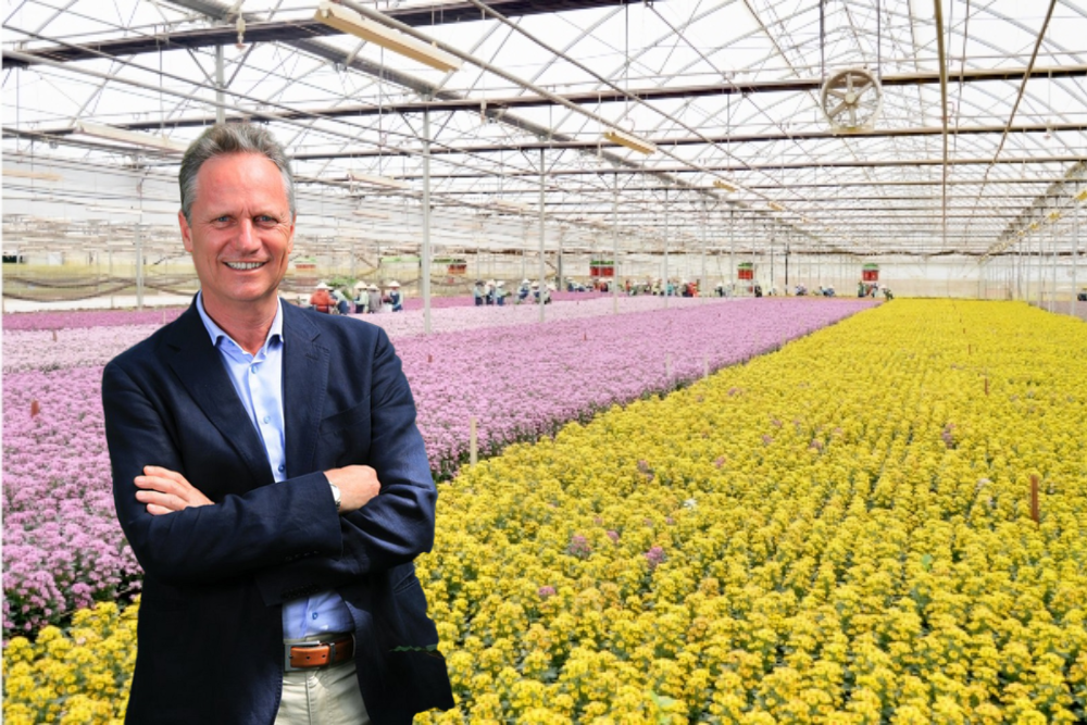 Dalat Hasfarms
