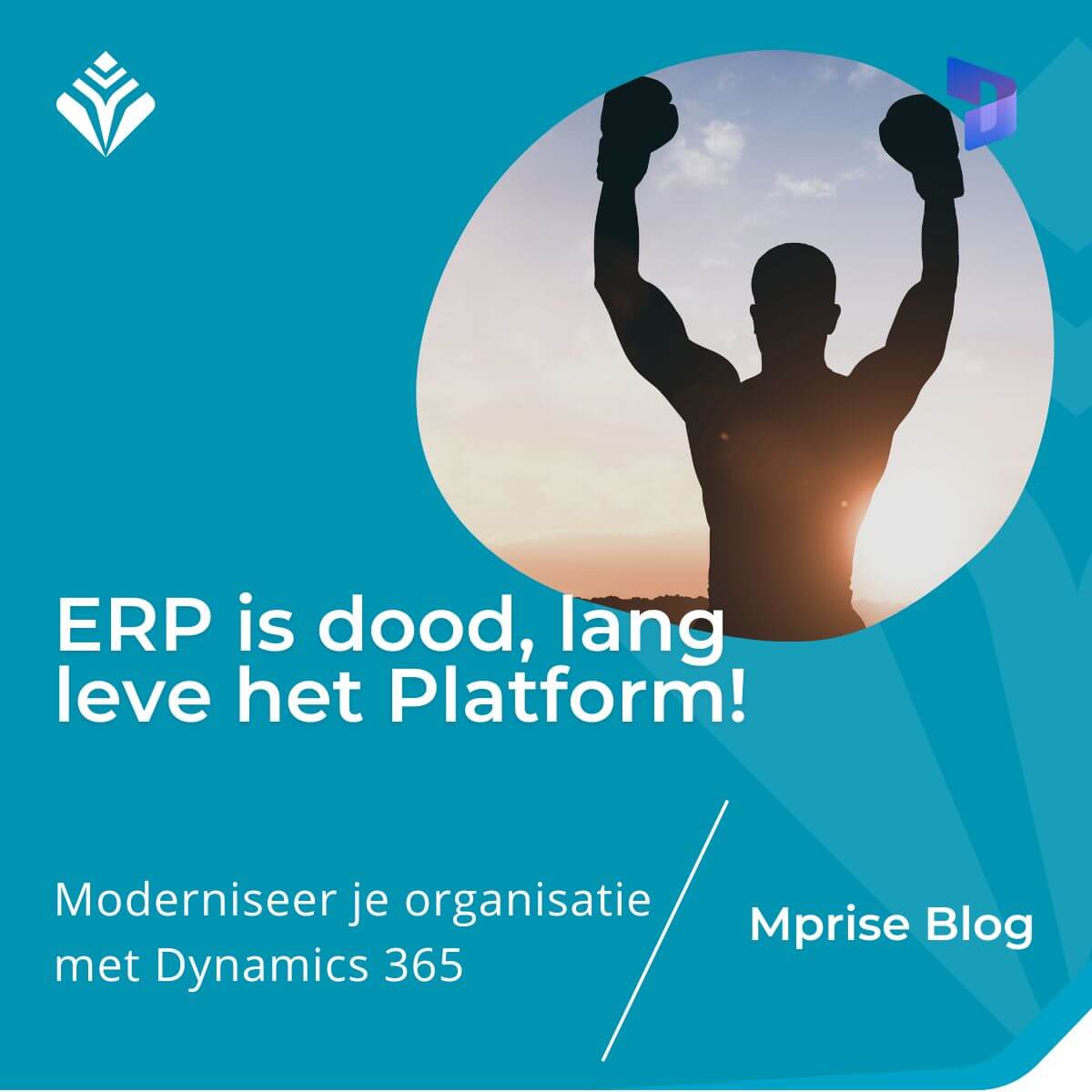 ERP is dood, lang leve het Platform!