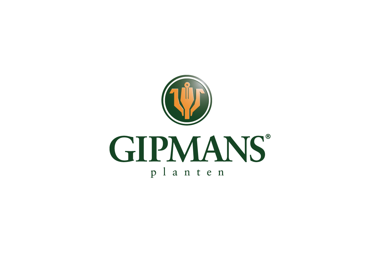 Gipmans