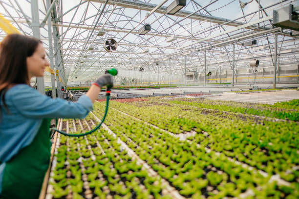 Greenhouse Software